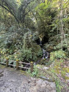 Today's trek was more shaded and included several waterfalls.